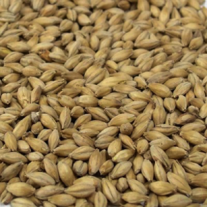 Marris Otter Malt-0