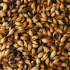 Crystal 120 Malt - GWM
