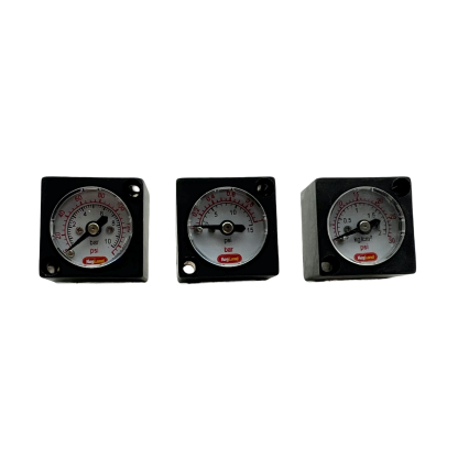 Mini Gauge for Regulator
